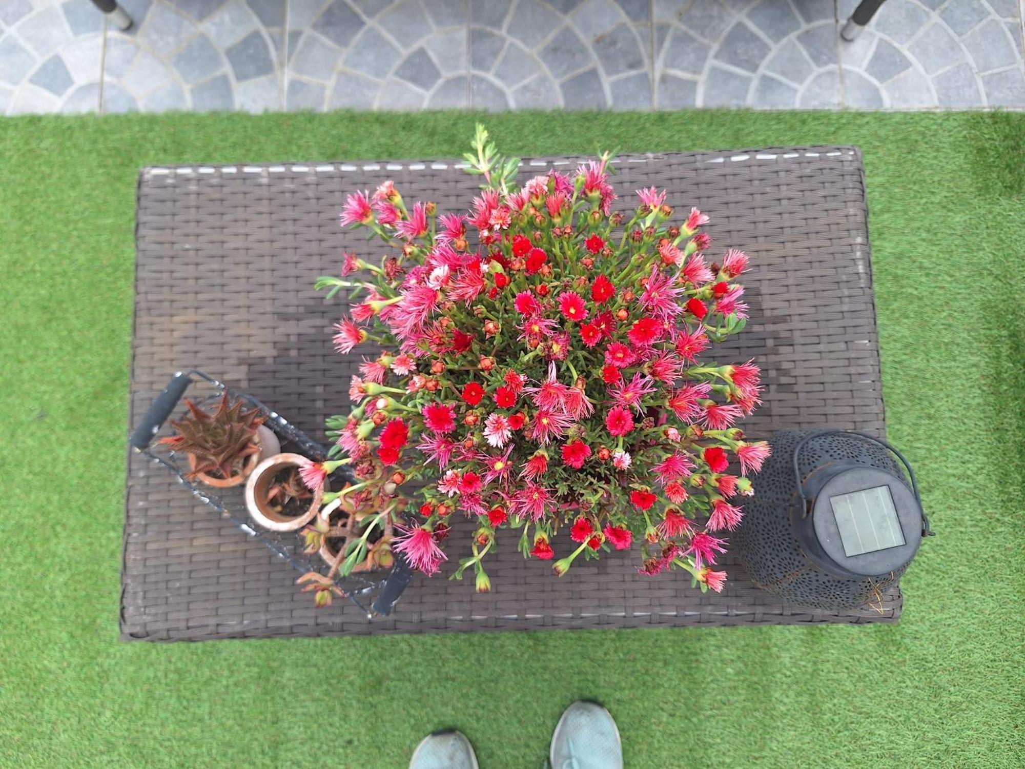 Ferienwohnung Vic Pigneto, Luxury House Terrace Roma Exterior foto