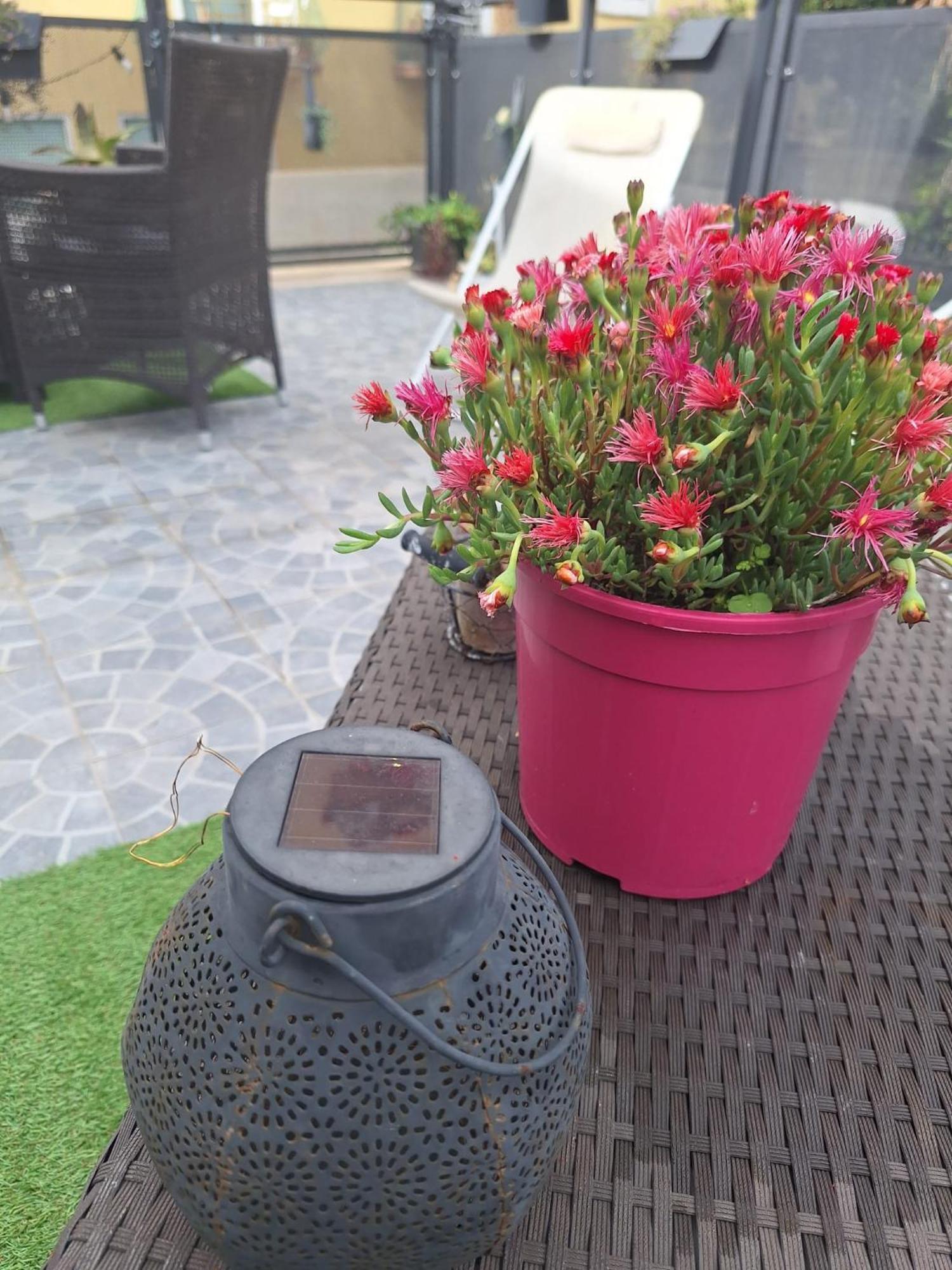 Ferienwohnung Vic Pigneto, Luxury House Terrace Roma Exterior foto